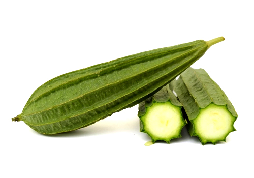 Top Sponge Gourd Distributors in alappey kerala